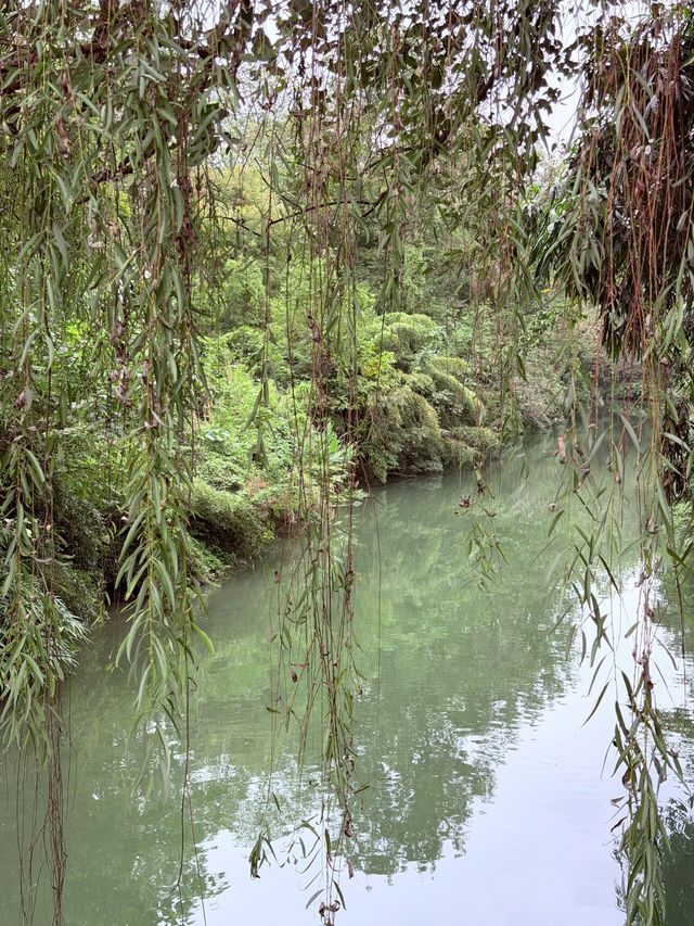 浣花溪公園：在詩箋竹影裡打撈杜甫的漣漪