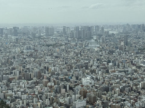 Disney themed Skytree! You can’t beat the views and the cuteness 🤩 👽  🗼 