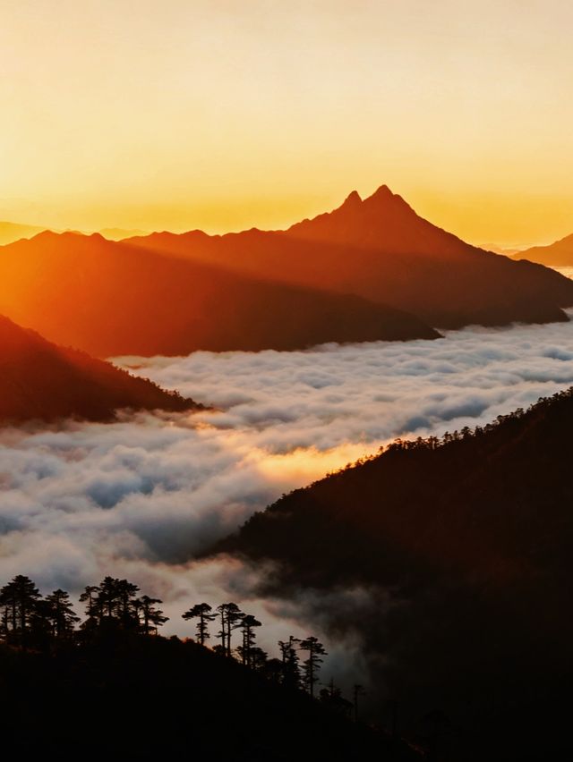 山臺灣中央山脈 山臺灣中央山脈