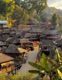 北回歸線的綠洲上,邂逅茶香與咖啡香