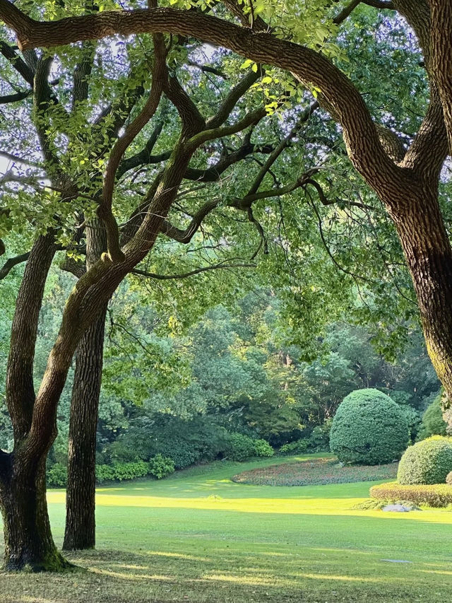 魔都隱蔽寶藏!西郊賓館免費參觀全攻略 魔都隱蔽寶藏!西郊賓館免費參觀全攻略