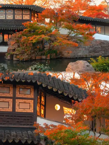 The upcoming Suzhou trip is truly the pinnacle of autumn travel 