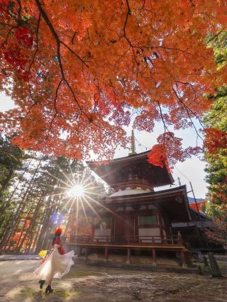 การตามล่าความลับ|ชมใบไม้เปลี่ยนสีที่ภูเขาโคยะ