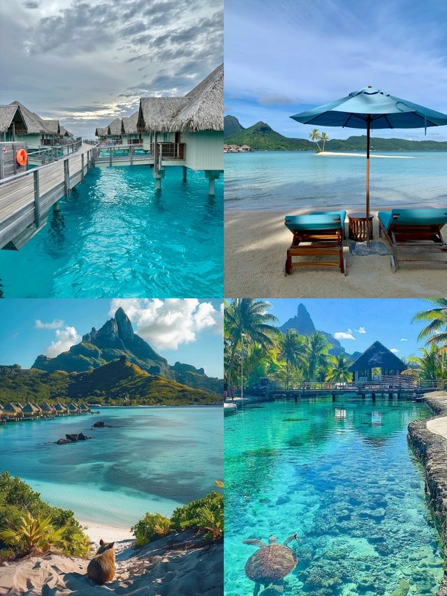 海島界的愛馬仕！波拉波拉島5天4晚擺爛攻略，躺平都能美出片