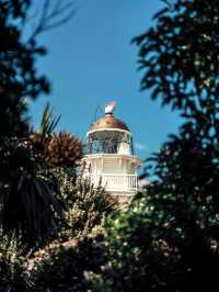 寒假/春節小團遊紐西蘭|南島觀鯨+賞峽灣