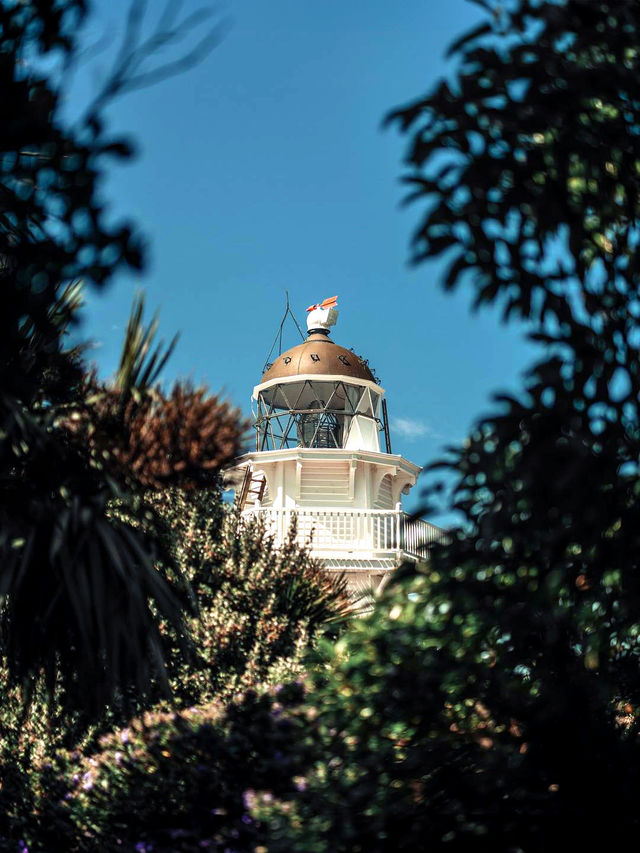 寒假/春節小團遊紐西蘭|南島觀鯨+賞峽灣