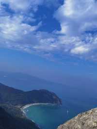 椰子林與海的完美邂逅