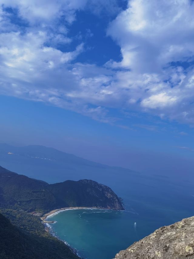 椰子林與海的完美邂逅