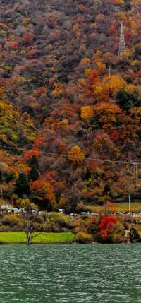 藏寨秋遊好去處