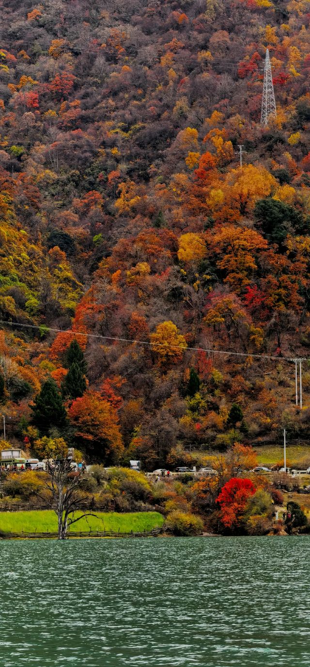 藏寨秋遊好去處 藏寨秋遊好去處