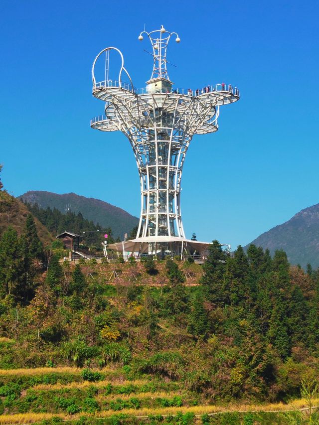 雲和梯田 雲和梯田