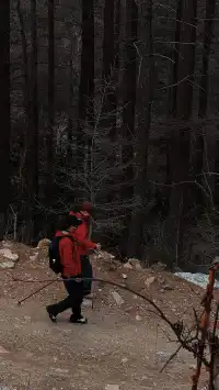 太原周邊｜把生活調成治癒模式