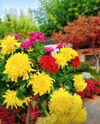 北方小江南｜磁州水墨園，一眼就驚艷的古風勝地