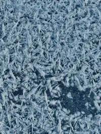 私人小眾滑雪，大興安嶺滑雪才是隱藏頂配！