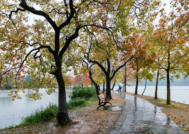獨享絕美秋景!南京植物園月牙堤紅葉雨景打卡攻略 獨享絕美秋景!南京植物園月牙堤紅葉雨景打卡攻略