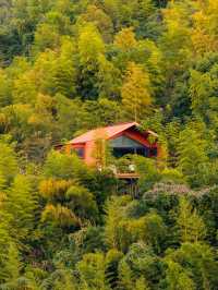 江浙滬staycation｜山野樹屋+露營的雙重快樂