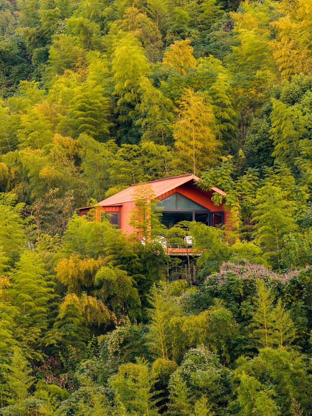 江浙滬staycation｜山野樹屋+露營的雙重快樂