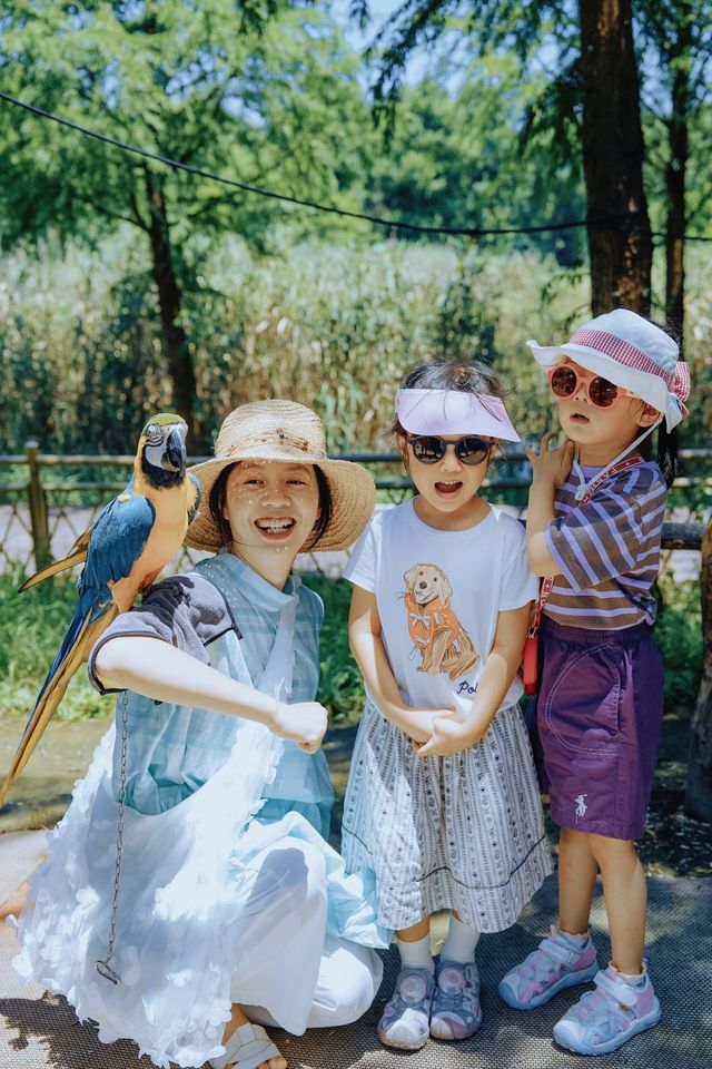 杭州灣2天1夜親子遊攻略｜濕地公園+凱悅酒店的神仙組合！