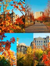 蘇州河畔超全秋日打卡攻略隨手拍都是電影感!