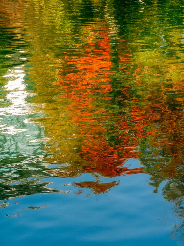 在濮院 | “樹樹皆秋色，波波成畫屏”