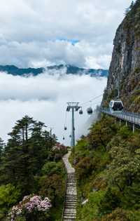 蒼山索道秘境打卡