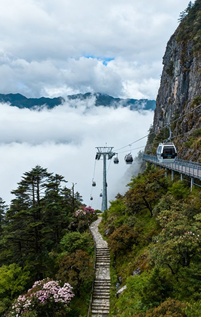 蒼山索道秘境打卡