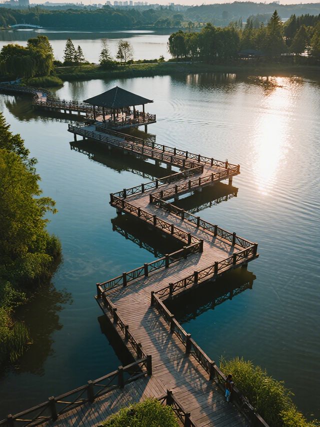 上海12月遛娃！水上森林美成油畫