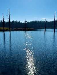 亞洲最大桌山瓦屋山雲海全攻略沒下雪也絕美