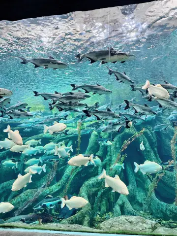 哈爾濱波塞冬實測｜學生黨99元玩遍海底世界！附避坑攻略