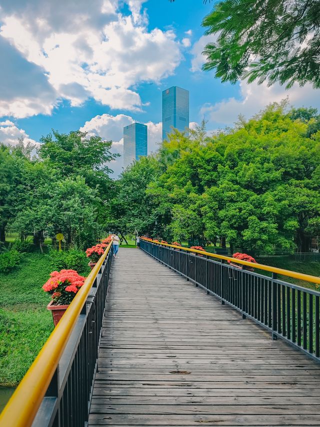 去一萬次都不夠！深圳我最愛的治癒系公園！