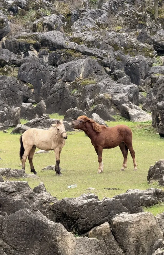 安順徒步天花板,被問爆的野趣攻略 安順徒步天花板,被問爆的野趣攻略