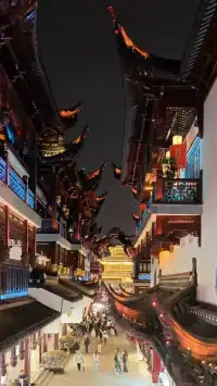 12/1實拍live豫園冬季泛光秀