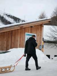 Sledging at Julierpass – Pure Winter Magic 🛷