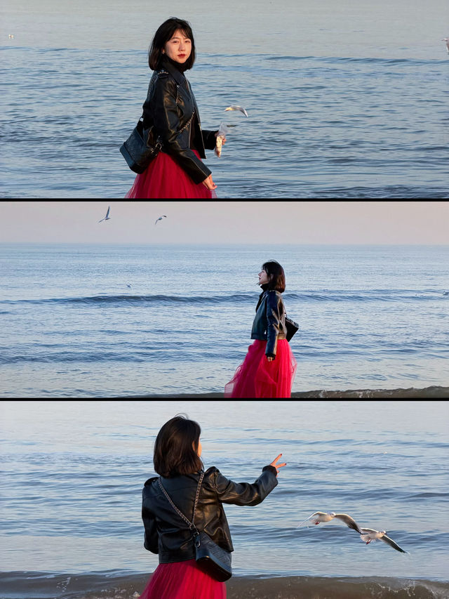 秦皇島|在如是海赴一場冬日海邊的聖誕之約 秦皇島|在如是海赴一場冬日海邊的聖誕之約