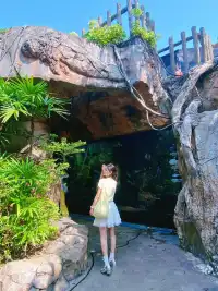 懶人福音！珠海長隆輕鬆兩日遊攻略路線