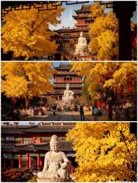 南京秋日毗盧寺的銀杏與佛光