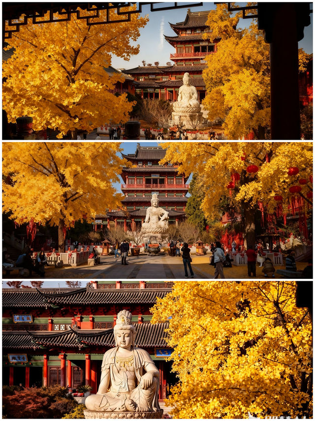 南京秋日毗盧寺的銀杏與佛光 南京秋日毗盧寺的銀杏與佛光