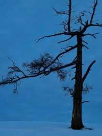 初冬阿勒泰｜雪域秘境中的極致曠野盛宴