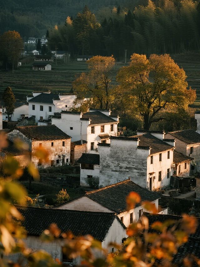 塔川秋季親子遊|紅葉古村+周邊打卡全攻略 塔川秋季親子遊|紅葉古村+周邊打卡全攻略