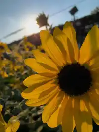 佛山農科院|限時免費開放最全攻略來啦