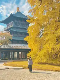 12月！預計會有10萬人來這裡…