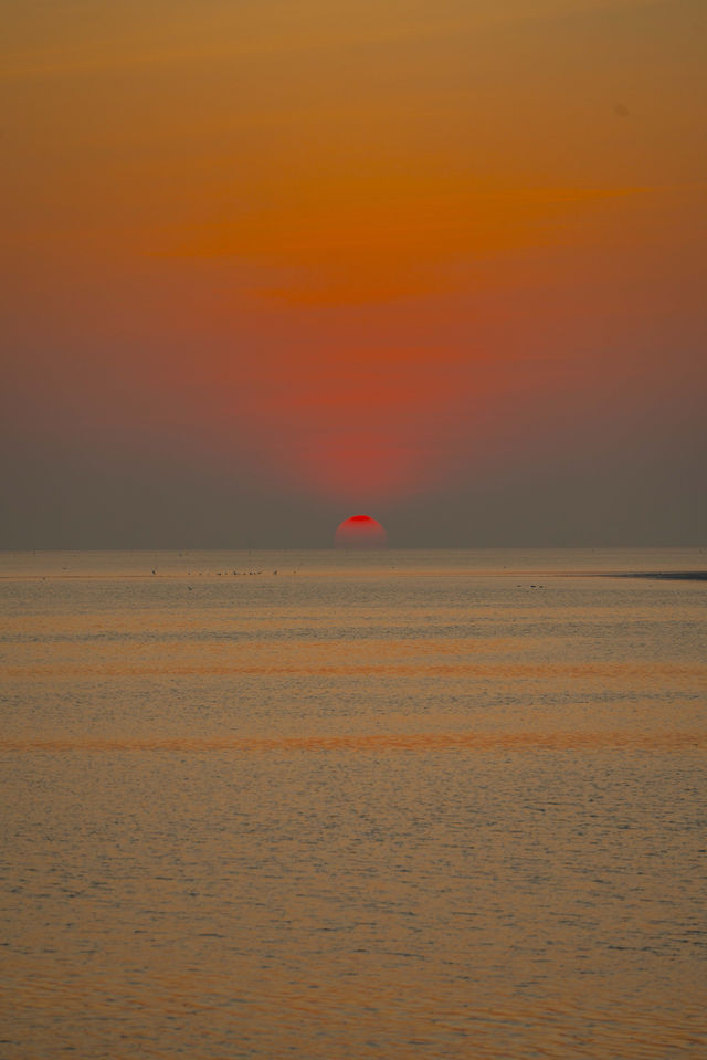 凌晨5點的北海銀灘，承包整片橘子海浪漫