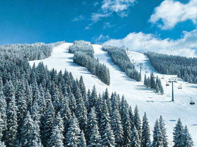 Sappee Ski Resort: Taiwan’s Alpine Secret – Powder Snow & Forest Views in the Mist! Sappee Ski Resort: Taiwan’s Alpine Secret – Powder Snow & Forest Views in the Mist!