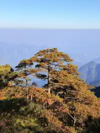 三清山太仙了！！