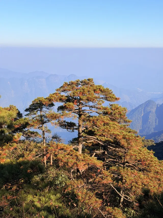 三清山太仙了！！