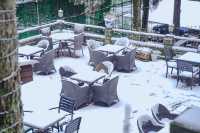 雪落廬山大廈：帶娃住進民國暖冬