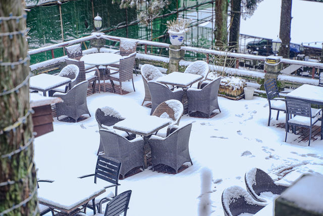 雪落廬山大廈：帶娃住進民國暖冬