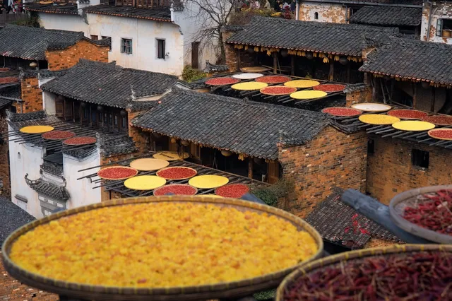 國家地理推薦｜婺源篁嶺曬秋