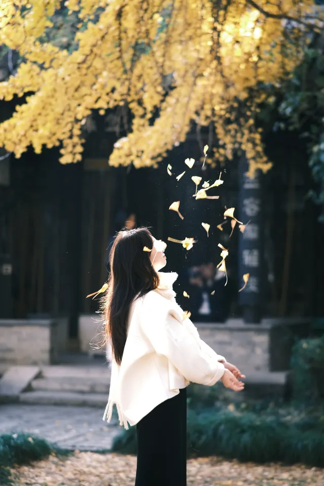 不要錯過揚州看銀杏的時節 不要錯過揚州看銀杏的時節