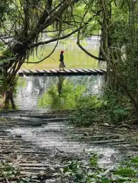 免費|深圳18個出片的地方(附定位路線)